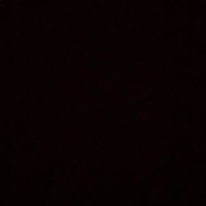 Meet your Posher, Eileen